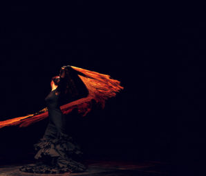 Amfora campsite - Evening show - Flamenco show