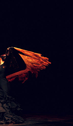 Amfora campsite - Evening show - Flamenco show