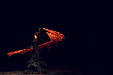 Amfora campsite - Evening show - Flamenco show