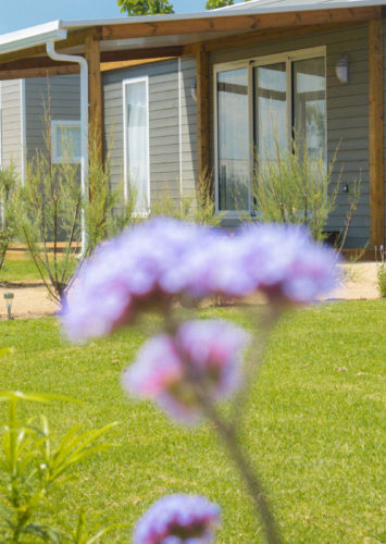 Amfora campsite - History of the campsite - Accommodation pitches during the 2020s